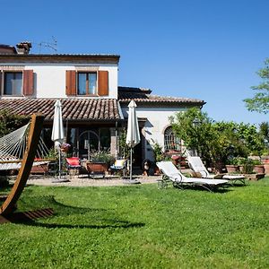 Cascina Vecchia Alpacas
